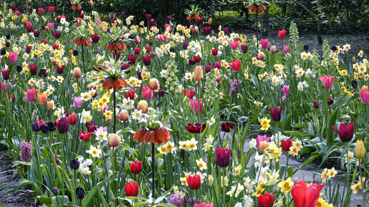 20140423 101311 Keukenhof Gardens, Lisse, South Holland, Netherlands